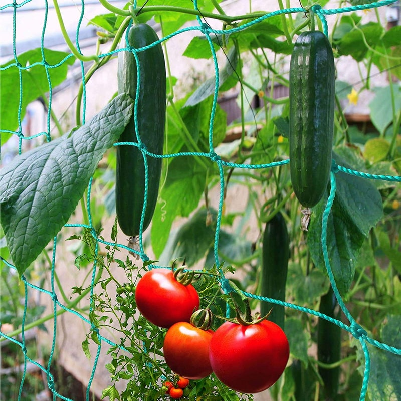 Miuezuth Trellis Netting for Climbing Plants - Heavy Duty Garden Trellis Netting for Cucumber, Vine, Fruits & Vegetables Tomato Plants Trellis Net, Climbing Vining Plants (1-Pack 32.8' x 6.6'Ft) - Image 1